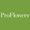 Flowers from 19,99$ on Proflowers